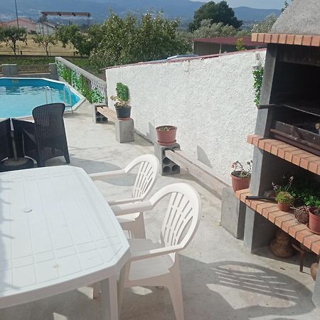 Azevinho Guest House Seia Oda fotoğraf