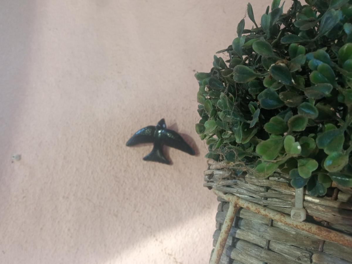 Azevinho Guest House Seia Dış mekan fotoğraf
