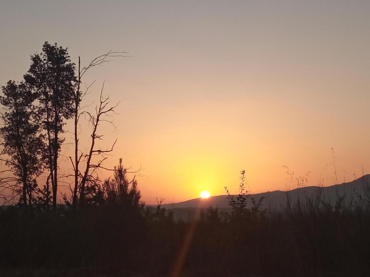 Azevinho Guest House Seia Dış mekan fotoğraf