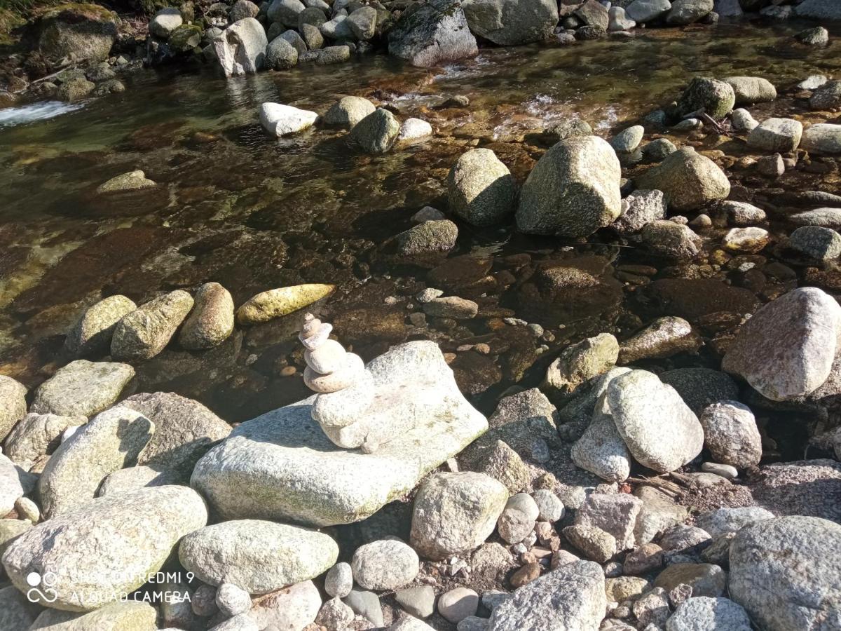 Azevinho Guest House Seia Dış mekan fotoğraf