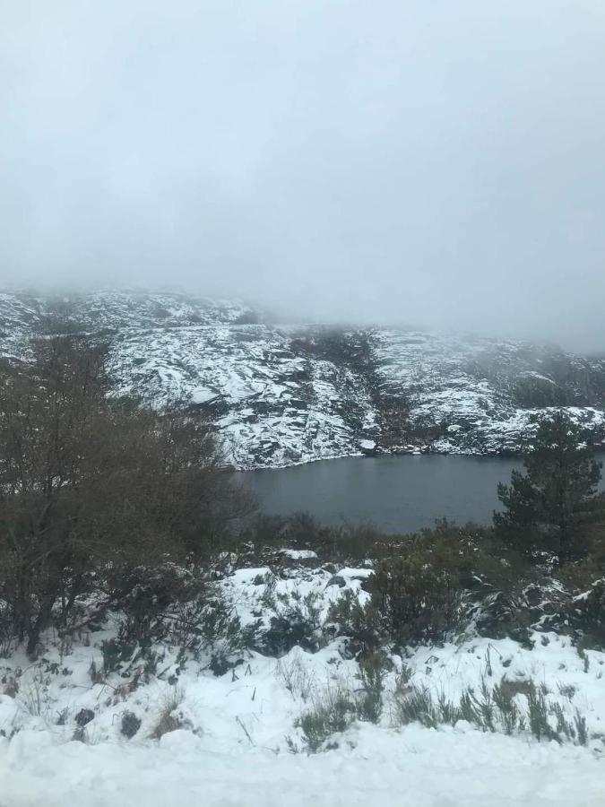 Azevinho Guest House Seia Dış mekan fotoğraf