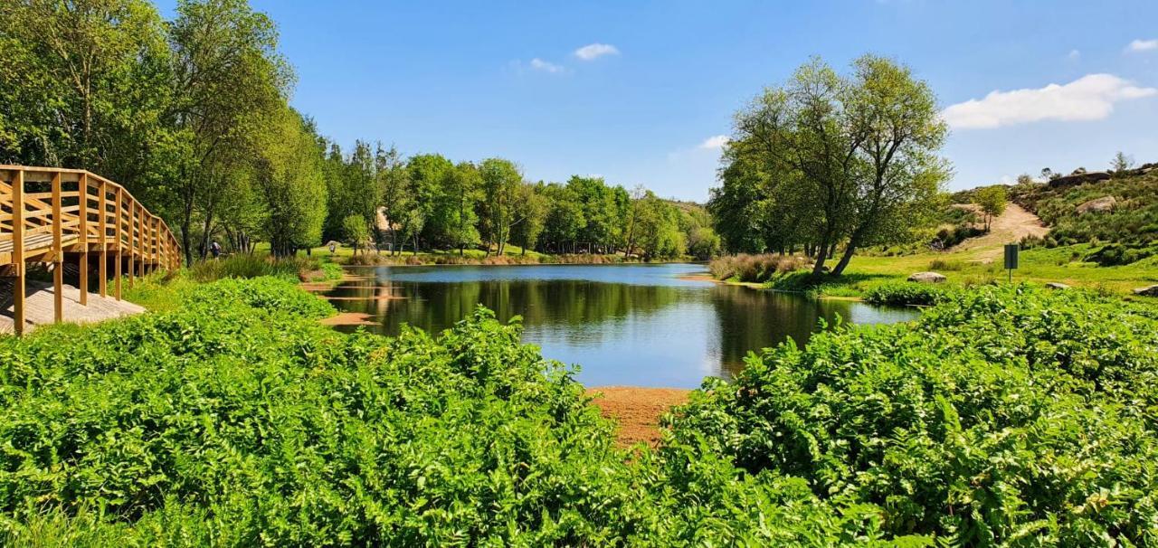 Azevinho Guest House Seia Dış mekan fotoğraf