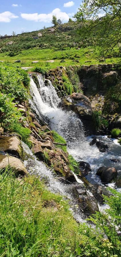 Azevinho Guest House Seia Dış mekan fotoğraf